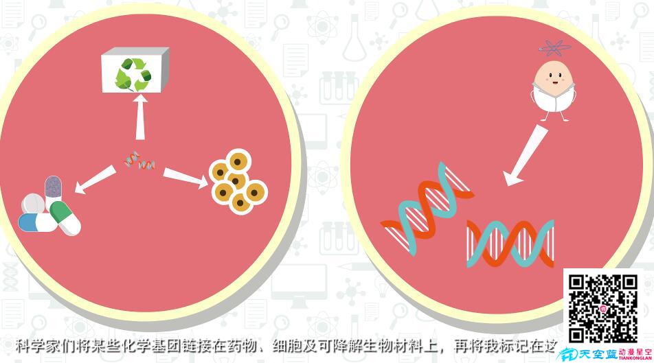 動(dòng)畫宣傳片制作公司 動(dòng)畫宣傳片制作公司