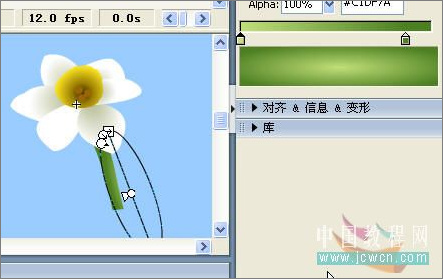 Flash繪畫技巧實(shí)例:鼠繪好看的水仙花