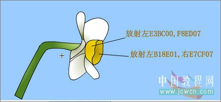 Flash繪畫技巧實(shí)例:鼠繪好看的水仙花
