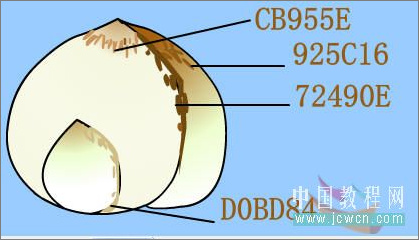 Flash繪畫技巧實(shí)例:鼠繪好看的水仙花