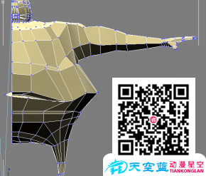 身體建模.png 身體建模.png