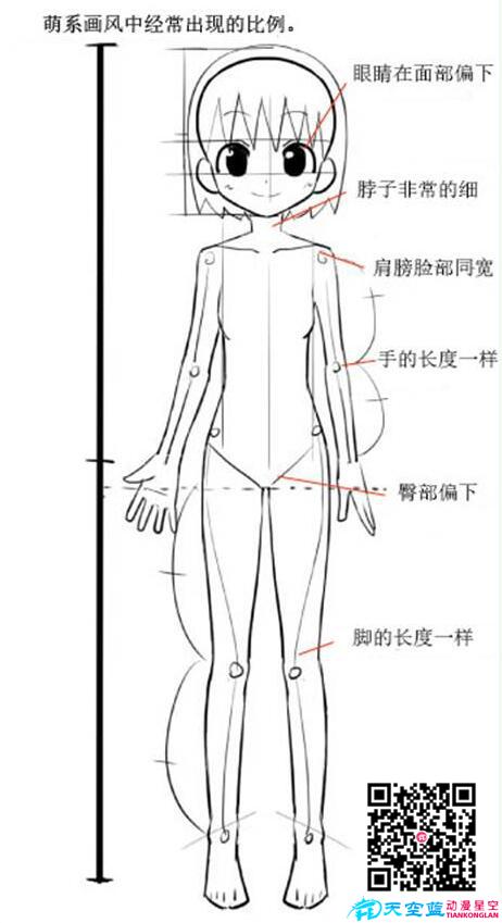 動(dòng)漫人體比例.jpg 動(dòng)漫人體比例.jpg