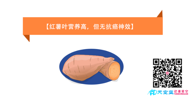 《紅薯葉營(yíng)養(yǎng)高，但無抗癌神效》健康醫(yī)療知識(shí)科普.png