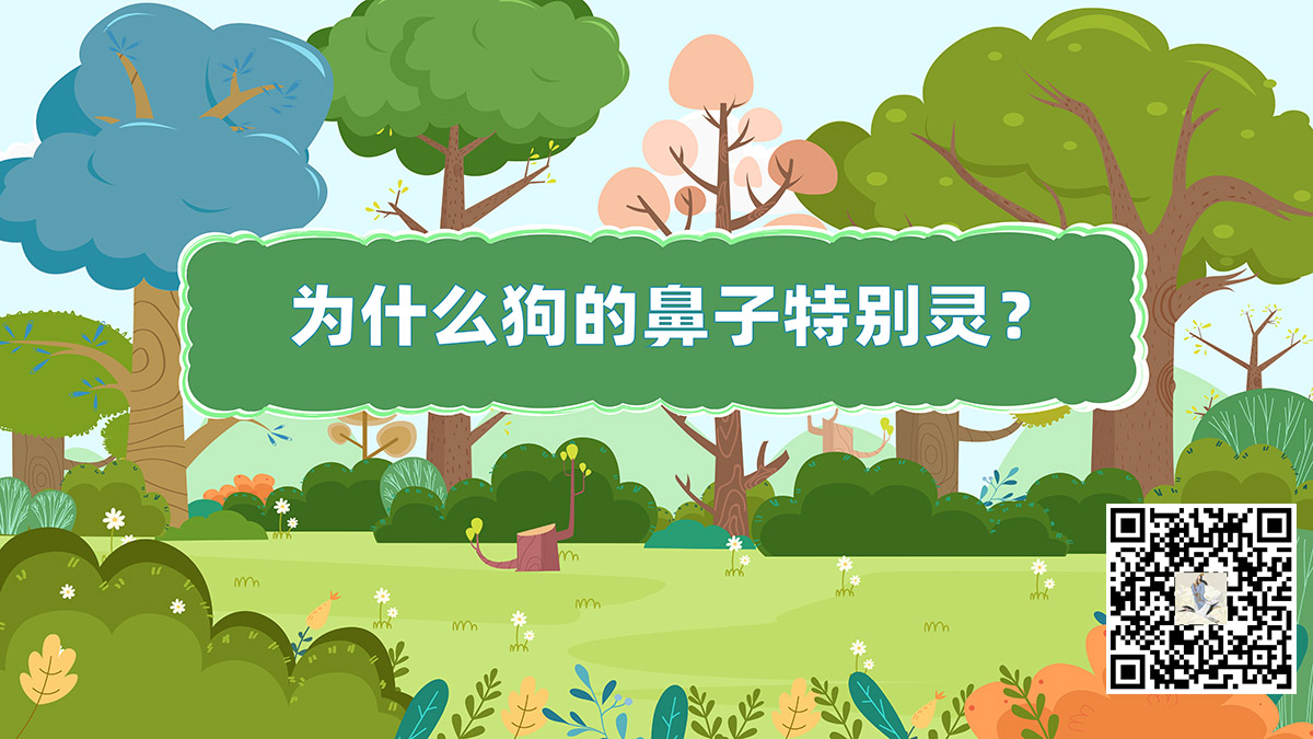 狗鼻子二維碼.jpg 狗鼻子二維碼.jpg