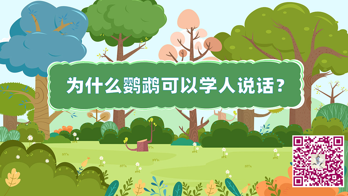 鸚鵡說話二維碼.jpg 鸚鵡說話二維碼.jpg