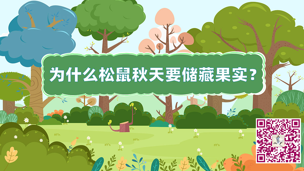 松鼠藏果實(shí)二維碼.jpg 松鼠藏果實(shí)二維碼.jpg