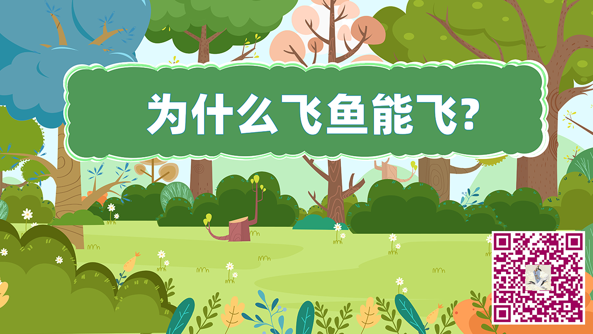 飛魚飛二維碼.png 飛魚飛二維碼.png