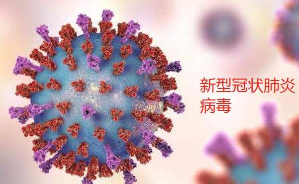 預(yù)防控制新型冠狀病毒肺炎：病毒最多存活幾天？.jpg