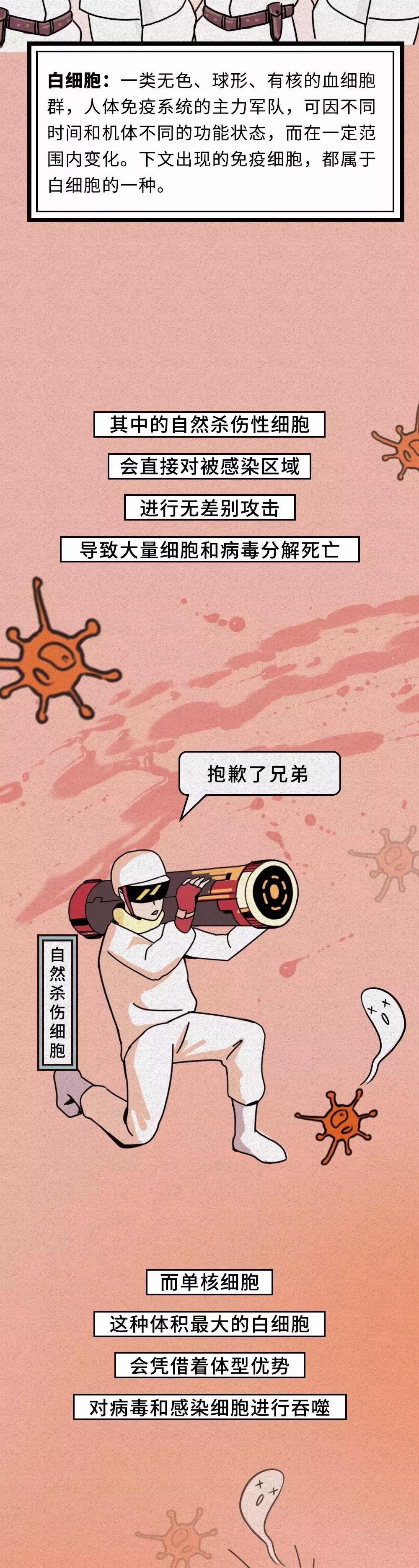 白細胞出動殺新型冠狀病毒.jpg