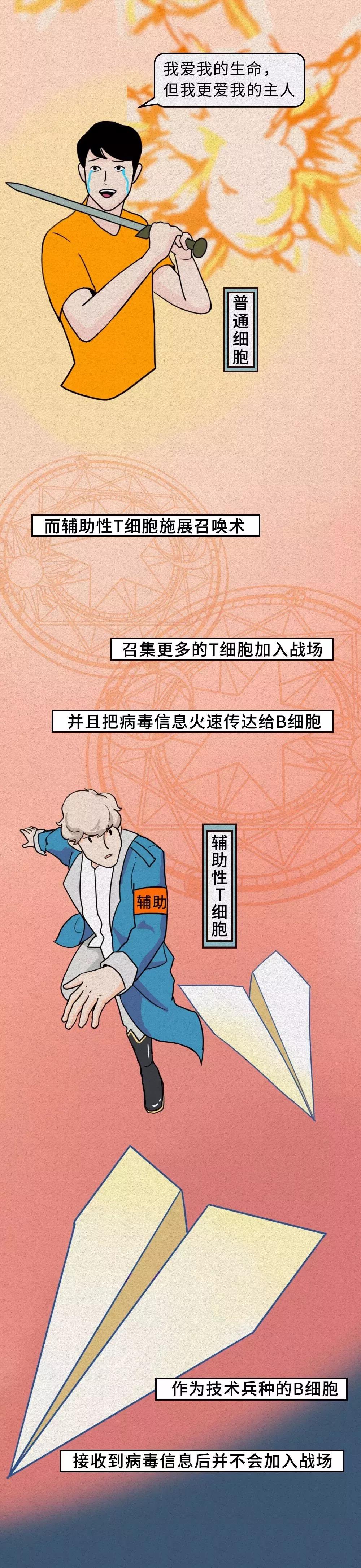 普通細胞如何面對新型冠狀病毒.jpg