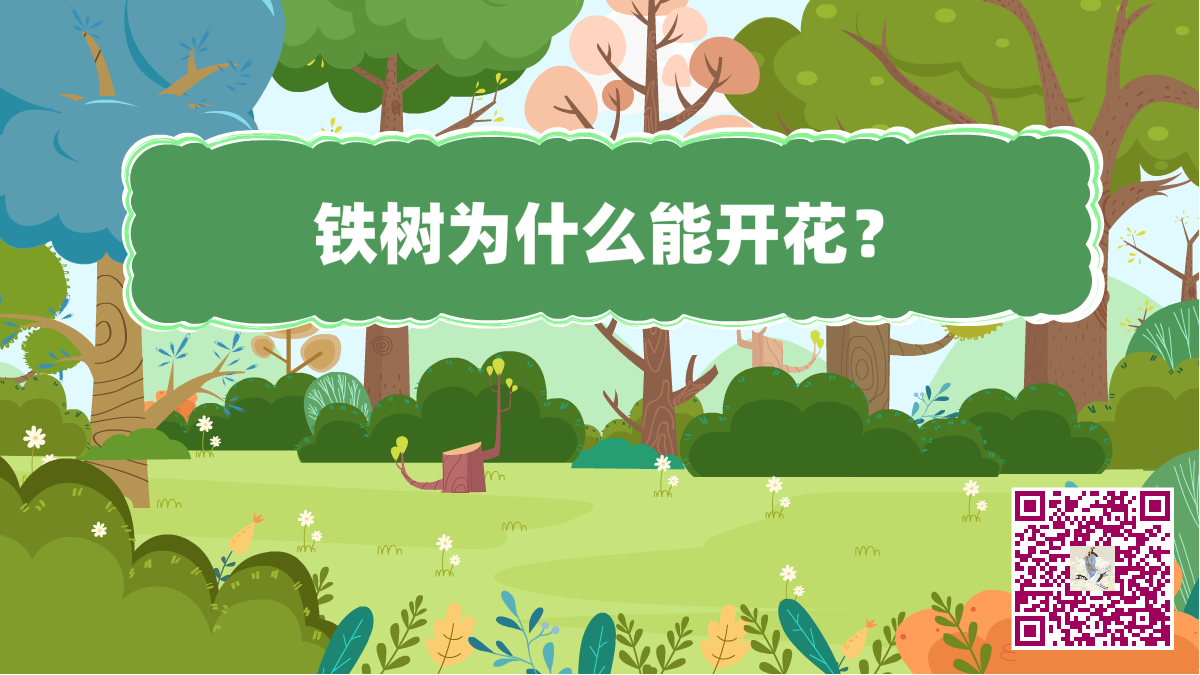 十萬個(gè)為什么標(biāo)題(鐵樹開花1200).png 十萬個(gè)為什么標(biāo)題(鐵樹開花1200).png