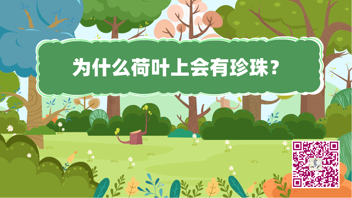 十萬個為什么標(biāo)題(荷葉珍珠)1200.png 十萬個為什么標(biāo)題(荷葉珍珠)1200.png