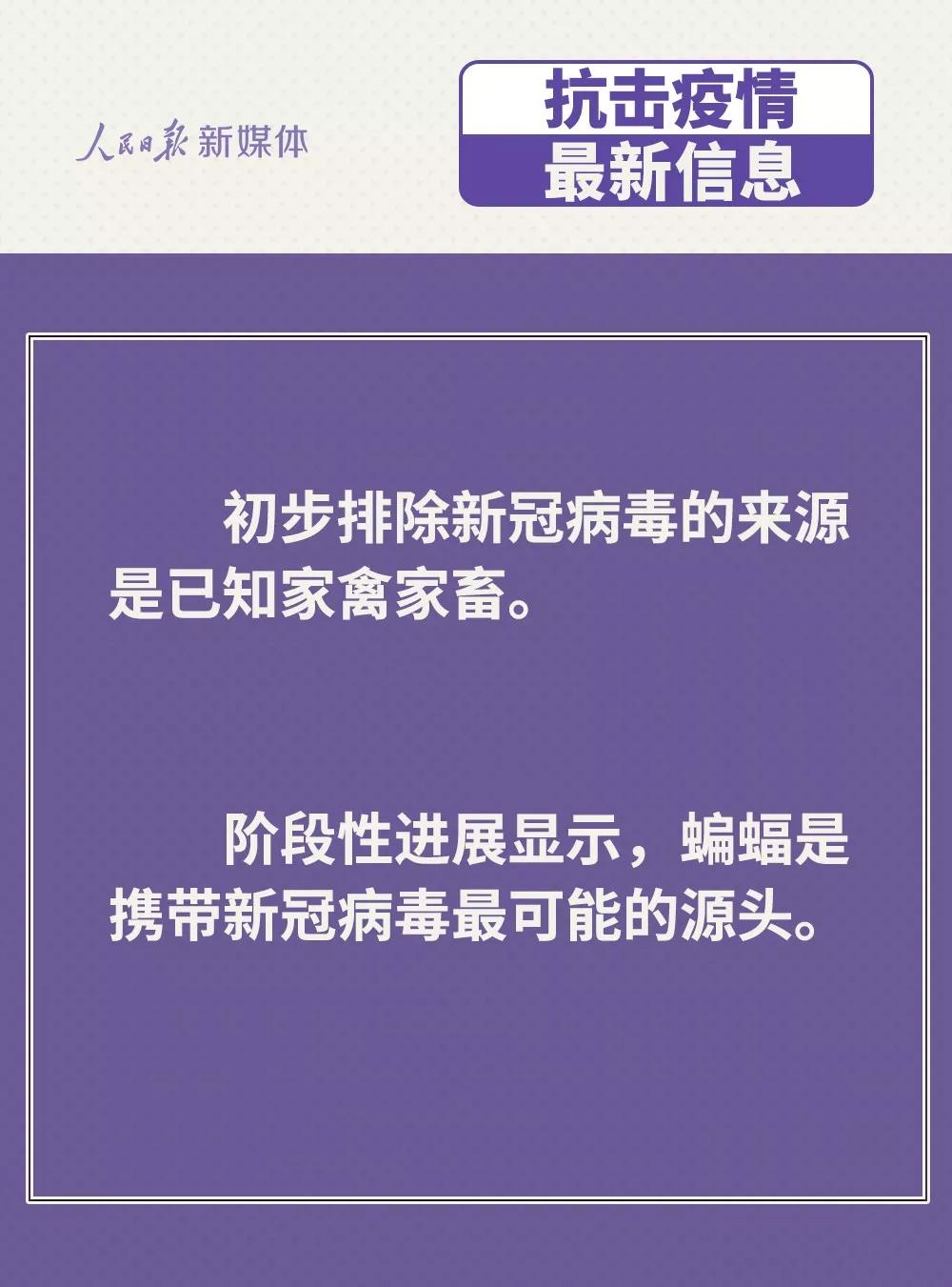 防控新型冠狀病毒：雞鴨會傳播病毒？疫苗研究得怎樣？.jpg