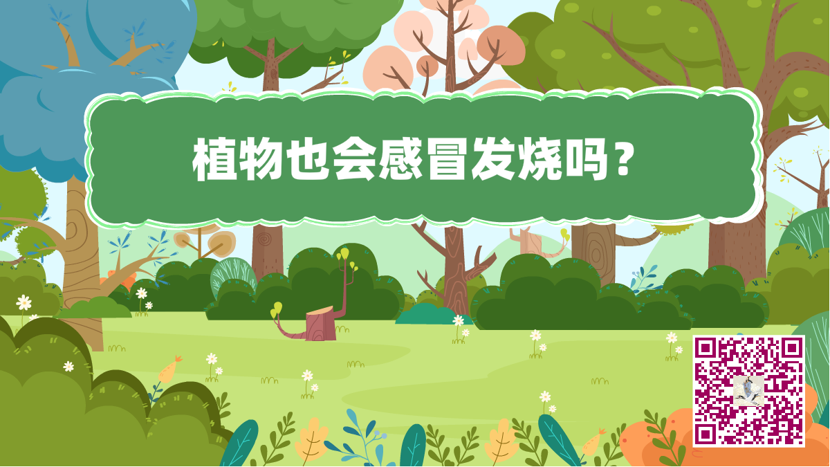 十萬個為什么標題(植物發(fā)燒)1200.png 十萬個為什么標題(植物發(fā)燒)1200.png