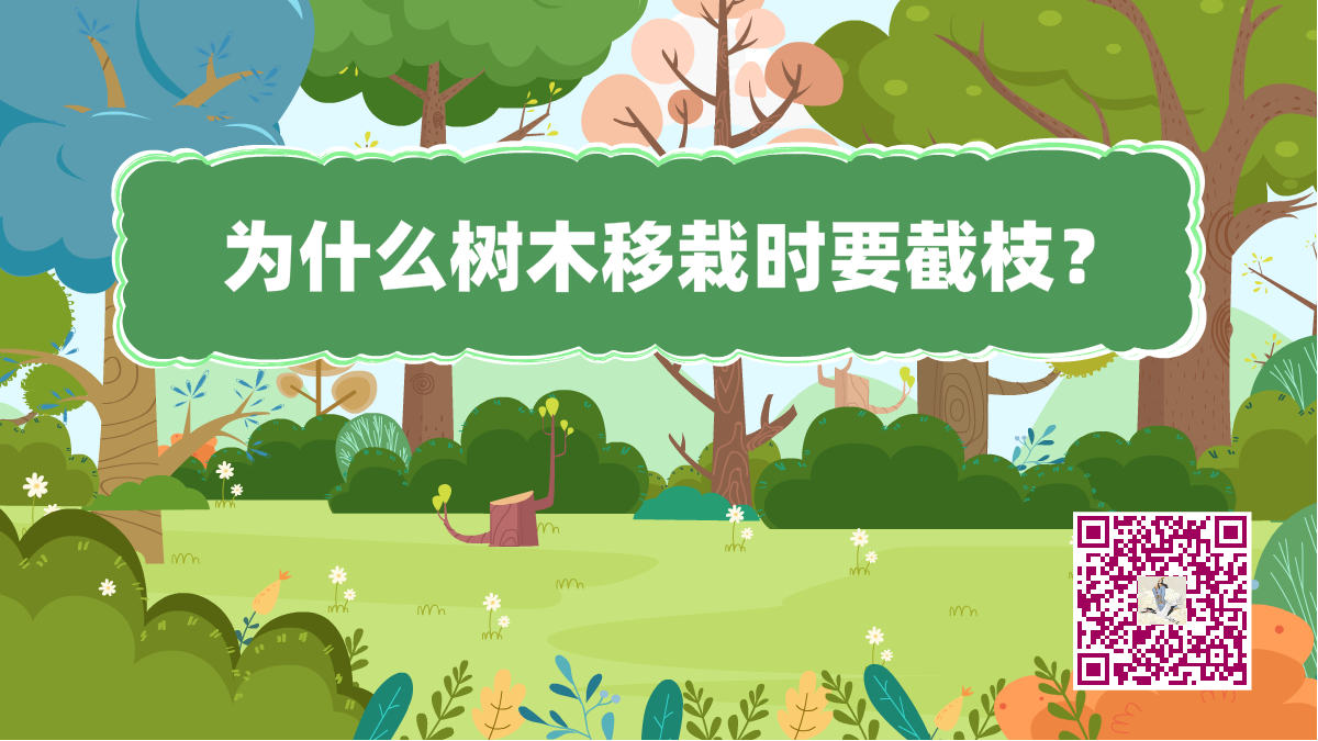 十萬個(gè)為什么標(biāo)題(樹木移栽時(shí)要截枝)1200.png 十萬個(gè)為什么標(biāo)題(樹木移栽時(shí)要截枝)1200.png