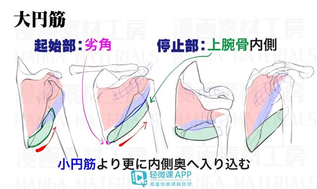 黃鶴樓動漫 黃鶴樓動漫