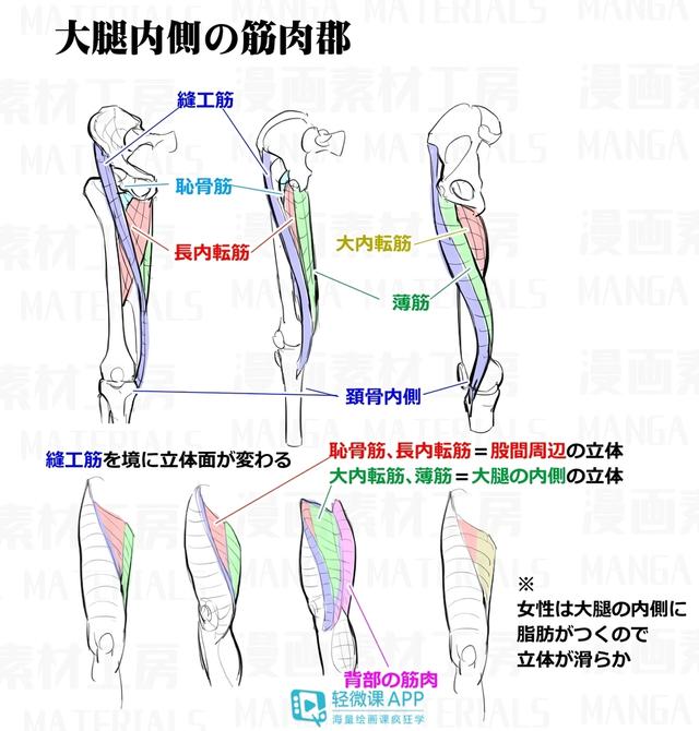 黃鶴樓動漫 黃鶴樓動漫