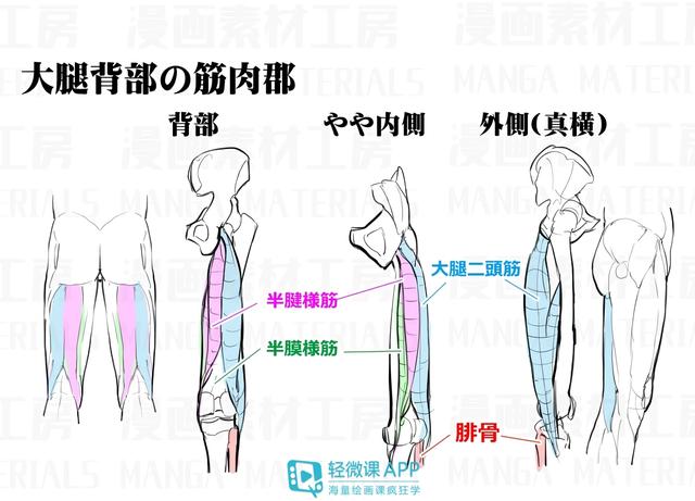黃鶴樓動漫 黃鶴樓動漫