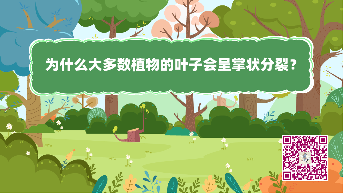 十萬個(gè)為什么標(biāo)題(植物的葉子)1200.png 十萬個(gè)為什么標(biāo)題(植物的葉子)1200.png