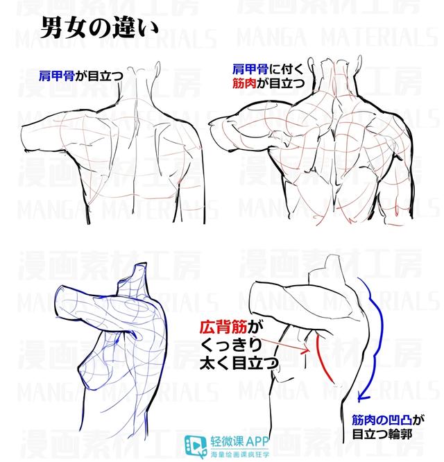 黃鶴樓動(dòng)漫 黃鶴樓動(dòng)漫