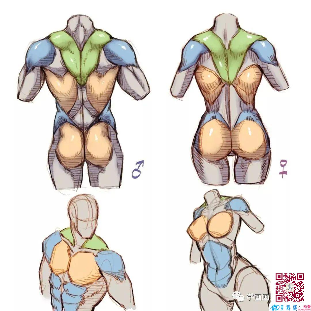 黃鶴樓動(dòng)漫 黃鶴樓動(dòng)漫