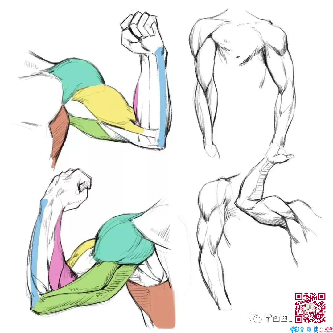 黃鶴樓動(dòng)漫 黃鶴樓動(dòng)漫