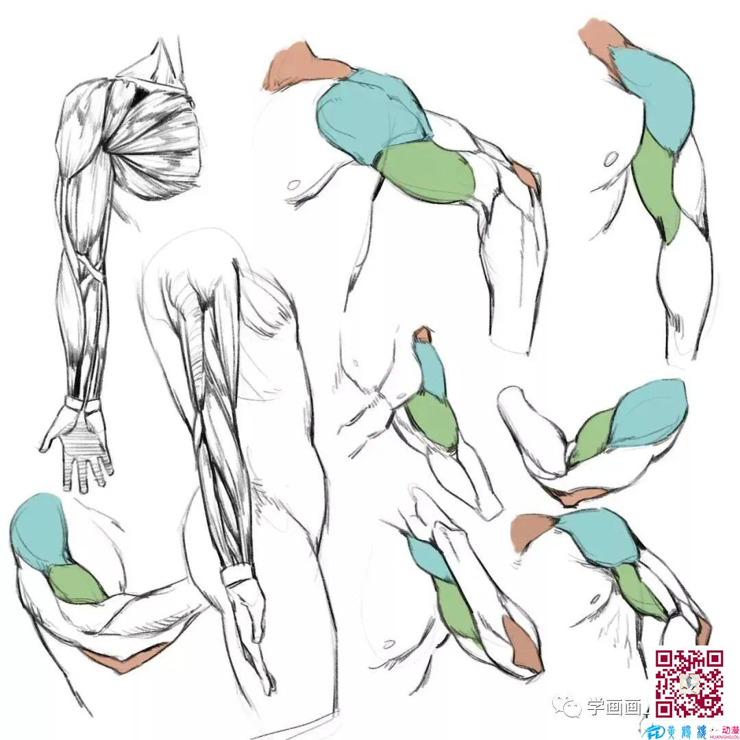 黃鶴樓動(dòng)漫 黃鶴樓動(dòng)漫