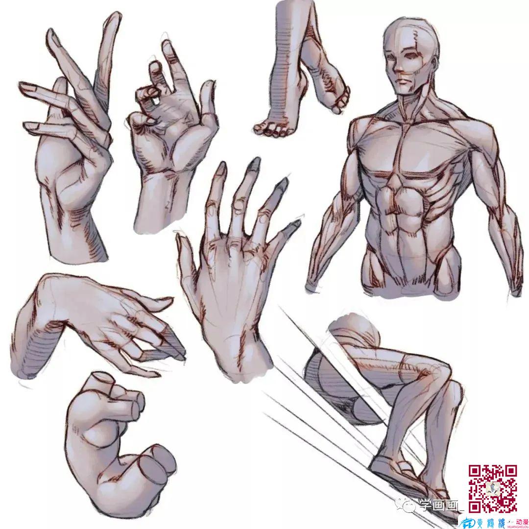 黃鶴樓動(dòng)漫 黃鶴樓動(dòng)漫