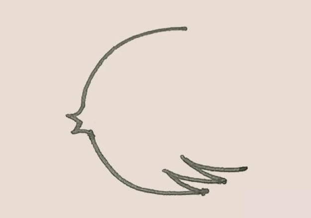 下面的弧線，再畫上幾段弧線作為裝飾。.png