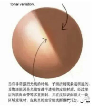 黃鶴樓動漫 黃鶴樓動漫