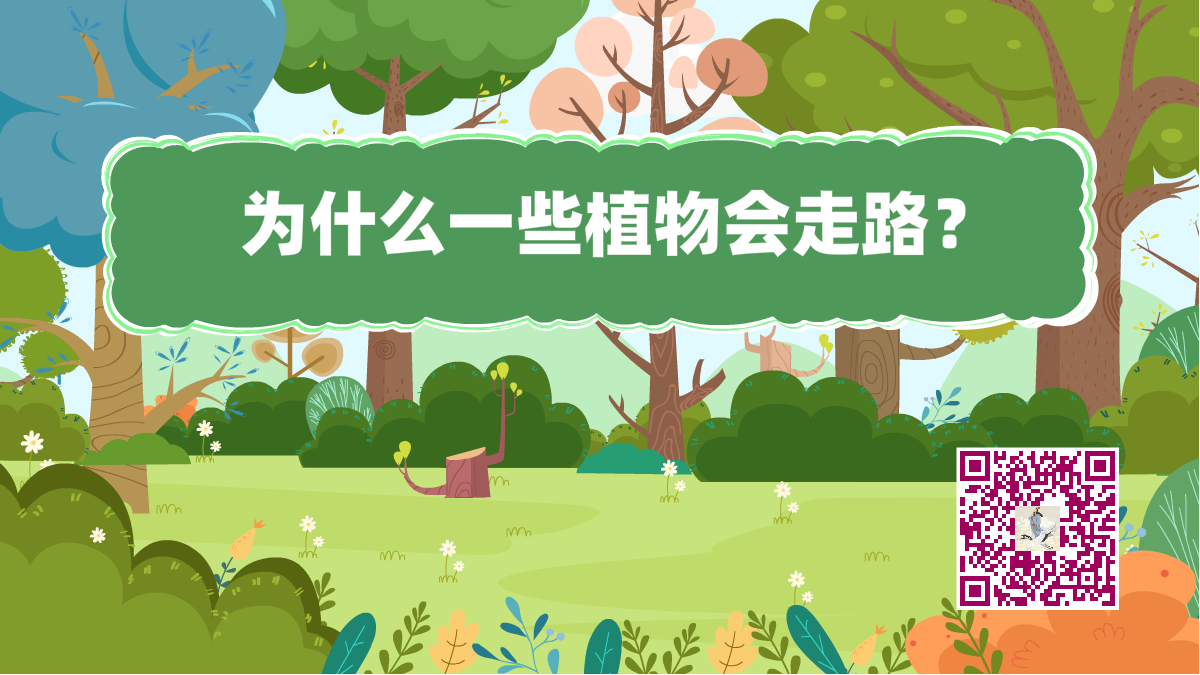 十萬(wàn)個(gè)為什么標(biāo)題(植物走路)1200.png 十萬(wàn)個(gè)為什么標(biāo)題(植物走路)1200.png