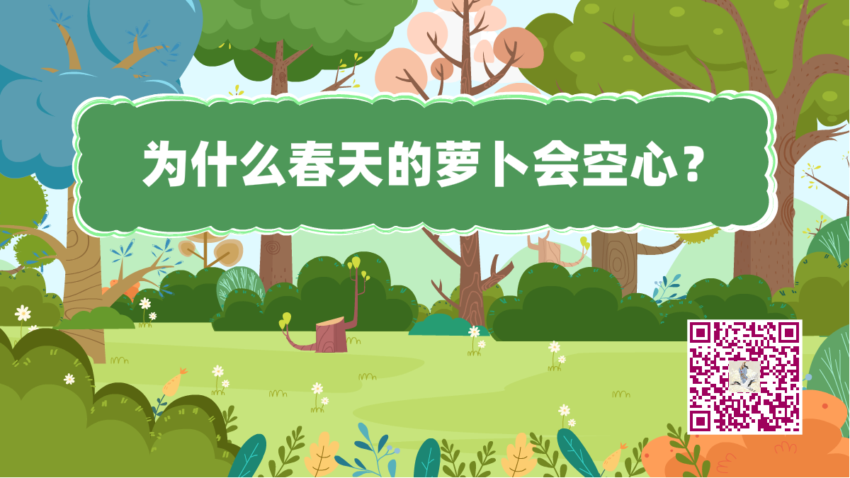 十萬(wàn)個(gè)為什么標(biāo)題(春天的蘿卜)1200.png 十萬(wàn)個(gè)為什么標(biāo)題(春天的蘿卜)1200.png