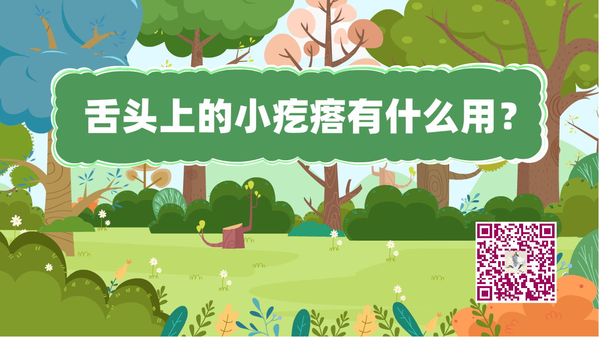 十萬個(gè)為什么標(biāo)題(舌頭小疙瘩)1200.png 十萬個(gè)為什么標(biāo)題(舌頭小疙瘩)1200.png