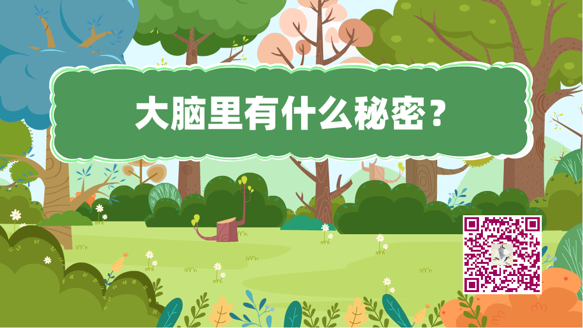 十萬(wàn)個(gè)為什么標(biāo)題(大腦秘密)1200.png 十萬(wàn)個(gè)為什么標(biāo)題(大腦秘密)1200.png