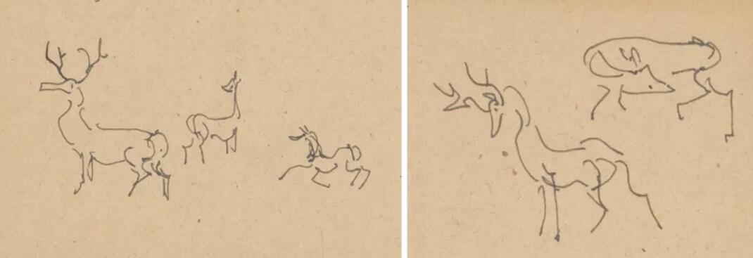 動(dòng)物草圖.jpg 動(dòng)物草圖.jpg