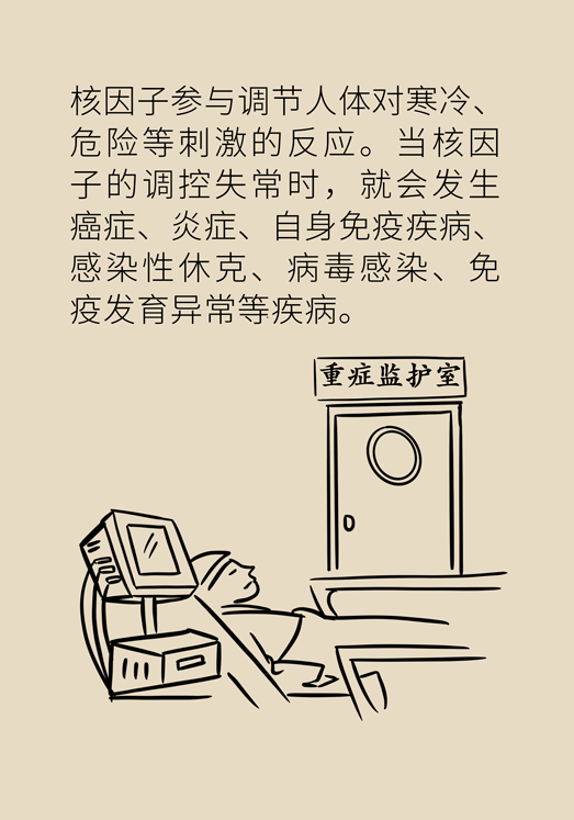 癌癥與睡眠都有那些關系？