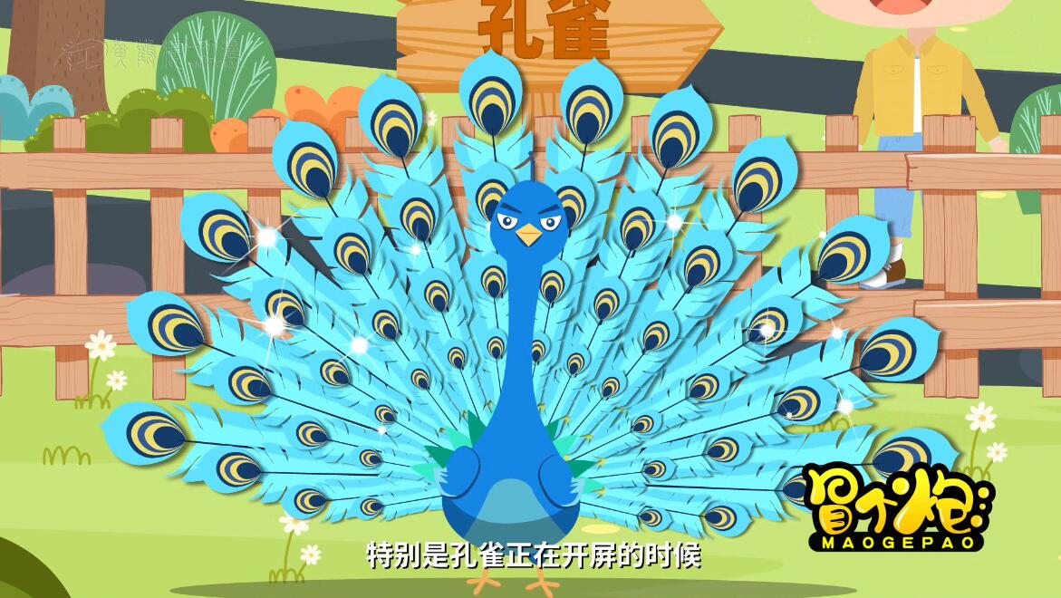 MG動(dòng)畫(huà)制作《孔雀為什么會(huì)開(kāi)屏?》科普動(dòng)漫宣傳片3.jpg MG動(dòng)畫(huà)制作《孔雀為什么會(huì)開(kāi)屏?》科普動(dòng)漫宣傳片3.jpg
