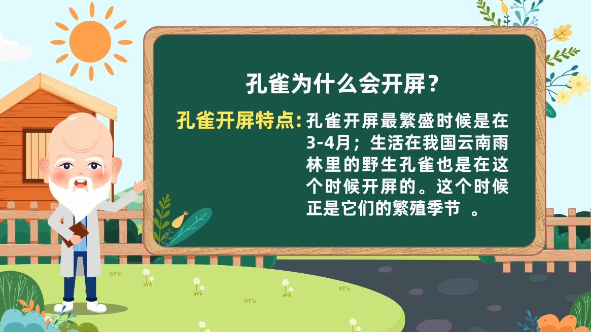 MG動(dòng)畫(huà)制作《孔雀為什么會(huì)開(kāi)屏?》科普動(dòng)漫宣傳片4.jpg MG動(dòng)畫(huà)制作《孔雀為什么會(huì)開(kāi)屏?》科普動(dòng)漫宣傳片4.jpg