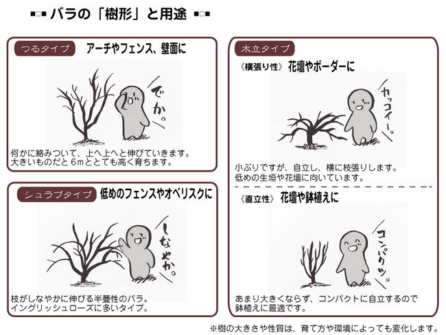各種花的簡單畫法，一步一步教你畫鮮花