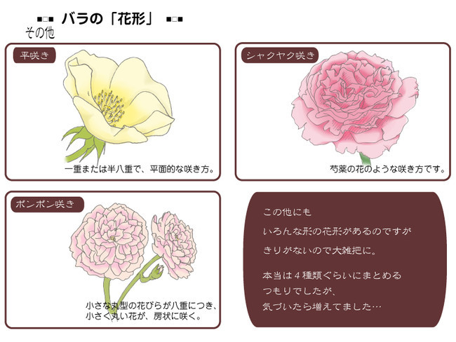 各種花的簡單畫法，一步一步教你畫鮮花