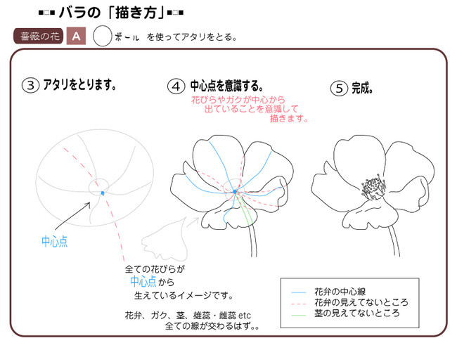 各種花的簡單畫法，一步一步教你畫鮮花