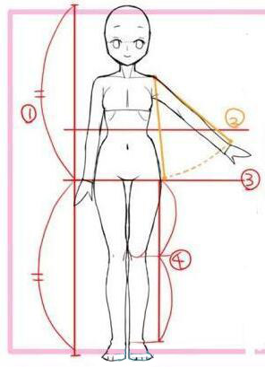 動(dòng)漫女生頭身比怎么畫？動(dòng)漫女生頭身比畫法教程一.jpg