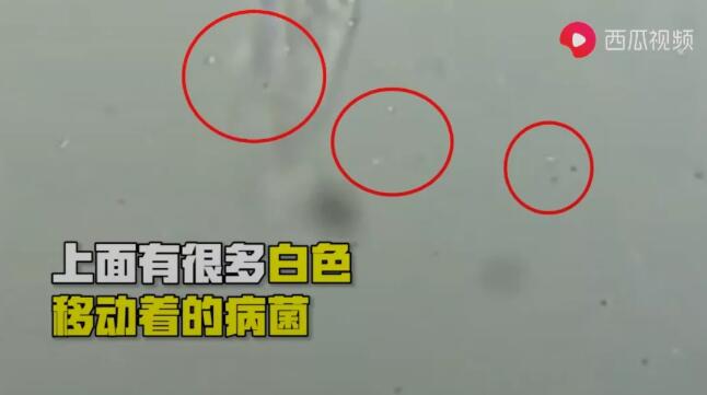 再接著放大到2000倍，可以看到正在口罩上面移動的細菌。.jpg