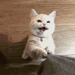 來幫幫動畫人.gif 來幫幫動畫人.gif