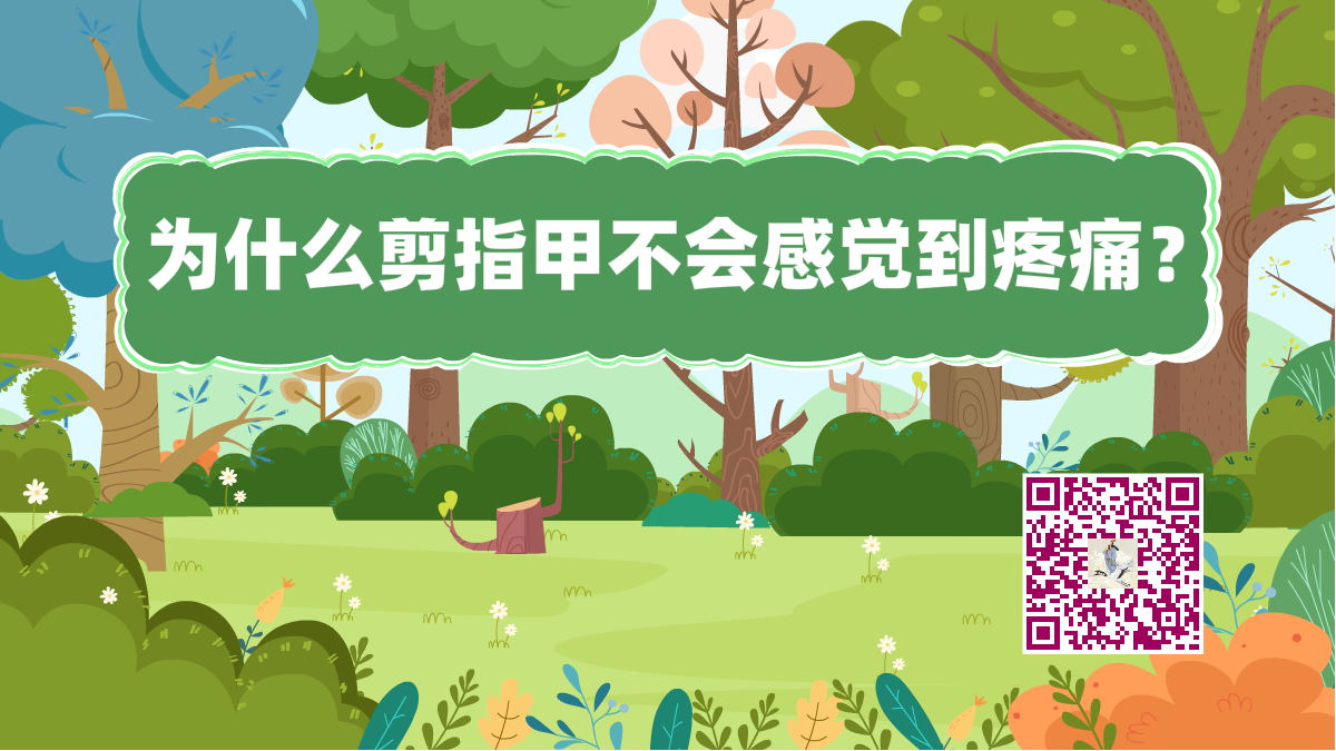 十萬個為什么標題(剪指甲)1200.png 十萬個為什么標題(剪指甲)1200.png