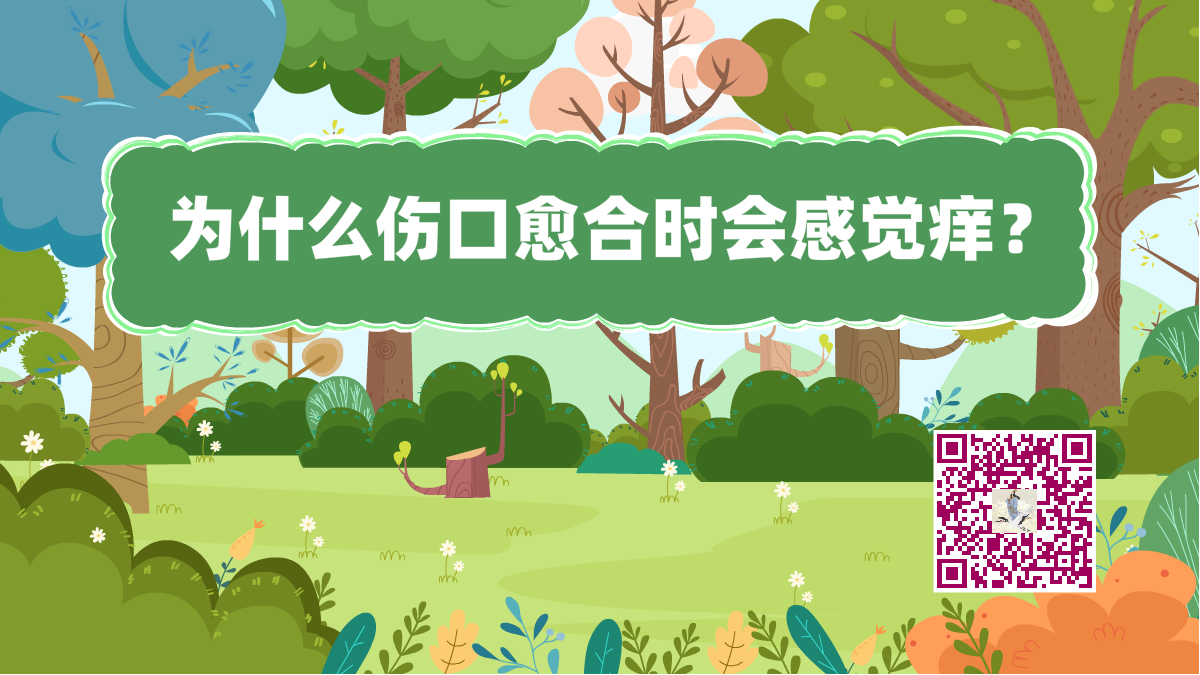 十萬個為什么標(biāo)題(傷口癢)1200.png 十萬個為什么標(biāo)題(傷口癢)1200.png