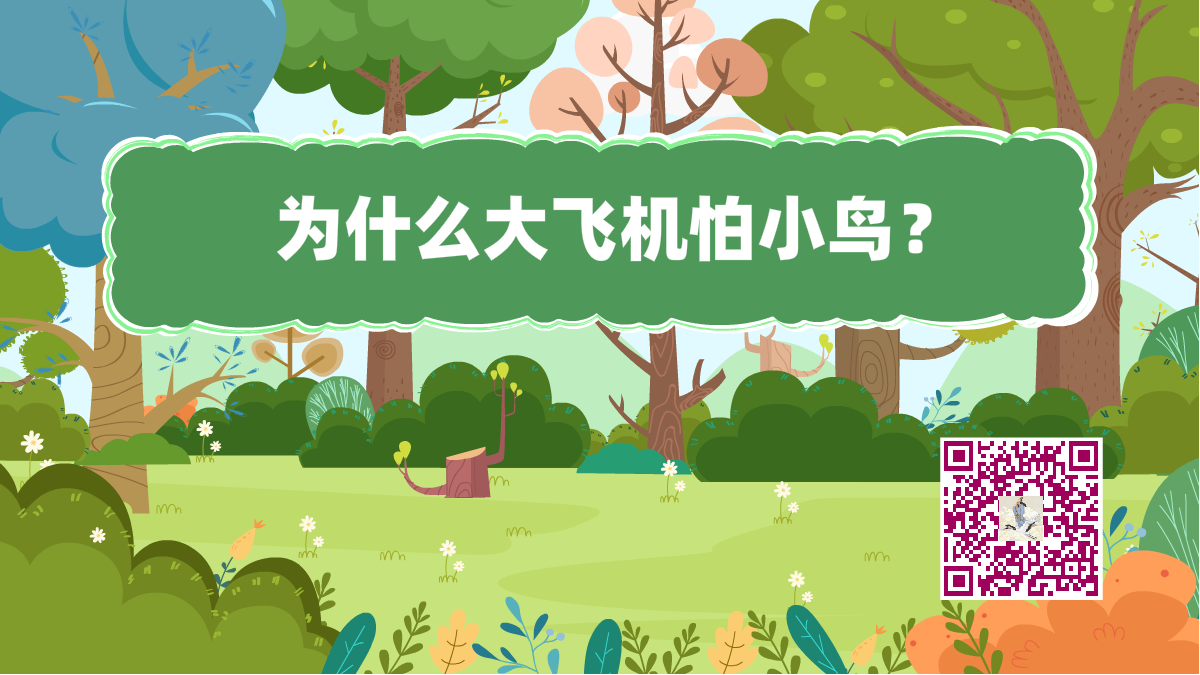 十萬個為什么標(biāo)題(大飛機(jī)怕鳥)1200.png 十萬個為什么標(biāo)題(大飛機(jī)怕鳥)1200.png