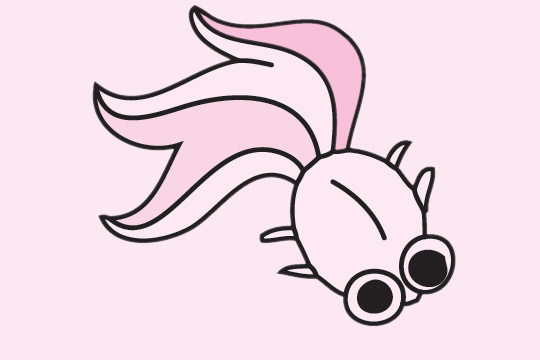 金魚(yú)簡(jiǎn)筆畫(huà)圖片