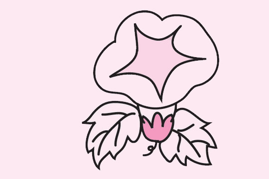 牽牛花簡(jiǎn)筆畫圖片