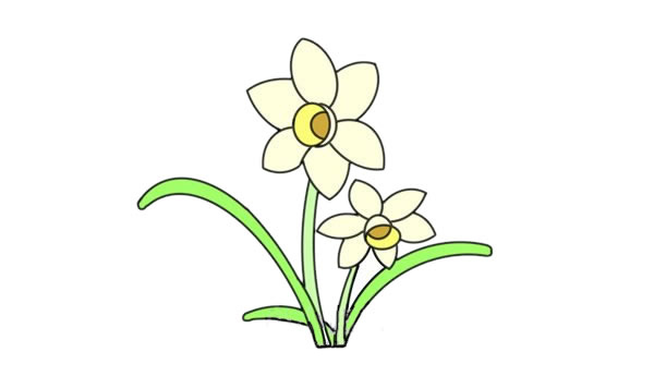 水仙花簡(jiǎn)筆畫.jpg 水仙花簡(jiǎn)筆畫.jpg